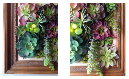 Screen Shot 2016-02-23 at 12.56.54 PM