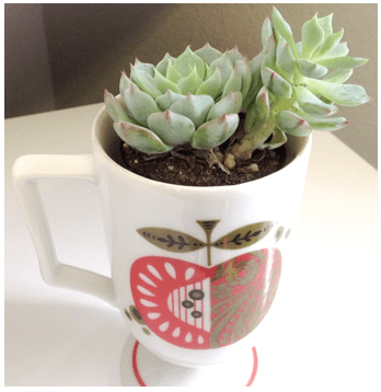 Screen Shot 2016-03-14 at 2.10.36 PM